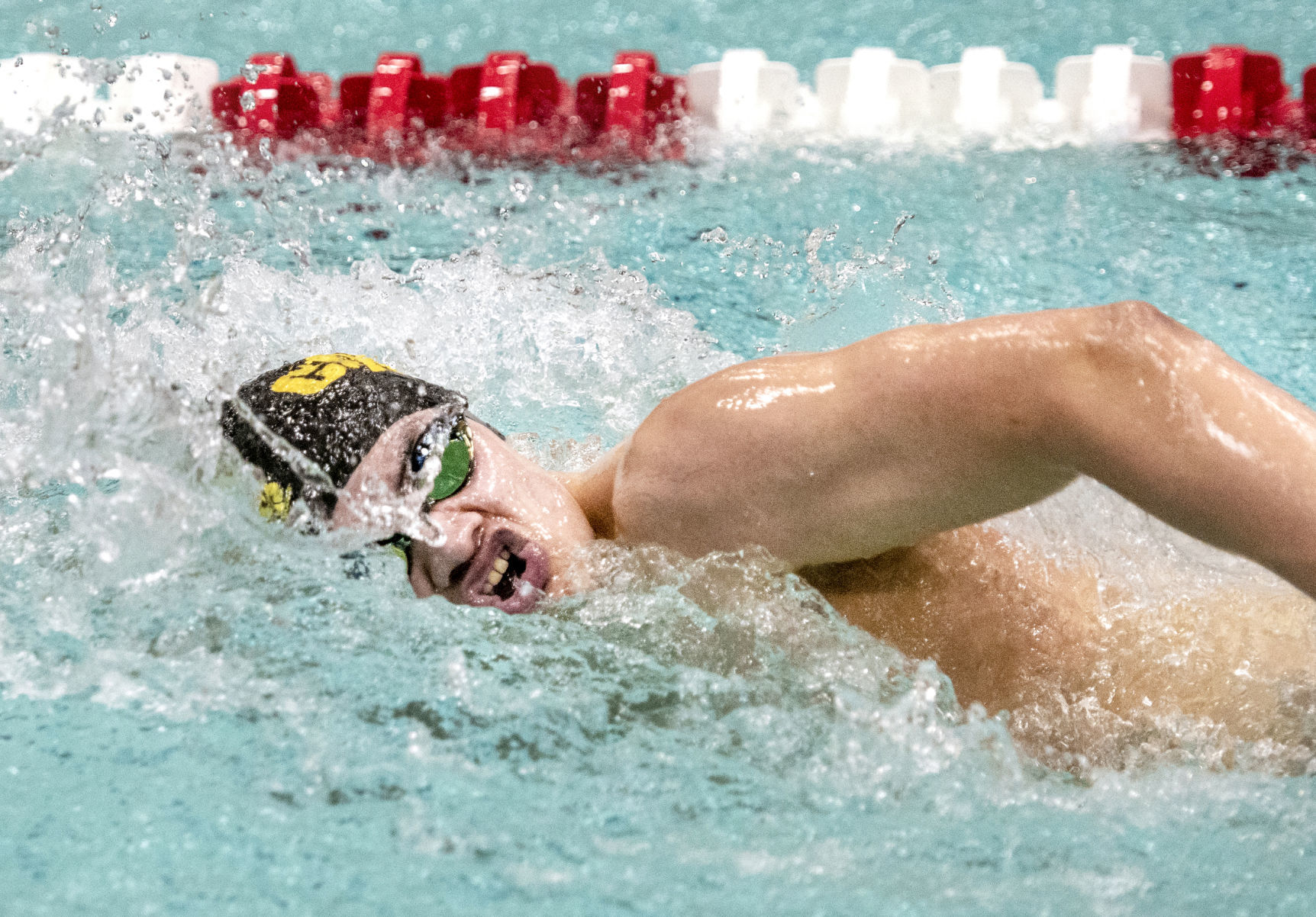 190216_D2SWIM04